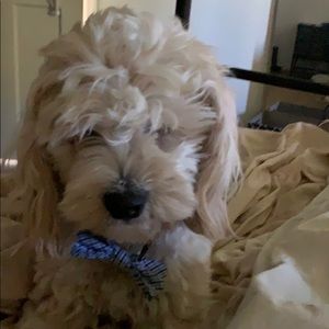 Meet your Posher, Krista